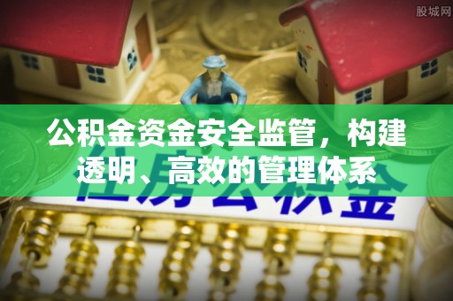诏安公积金资金安全监管，构建透明、高效的管理体系