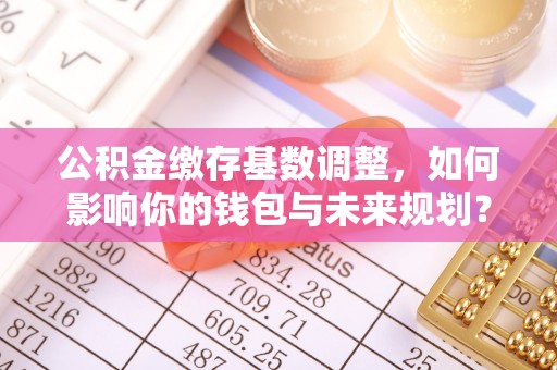 诏安公积金缴存基数调整，如何影响你的钱包与未来规划？