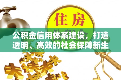 诏安公积金信用体系建设，打造透明、高效的社会保障新生态
