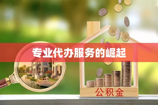 诏安专业代办服务的崛起