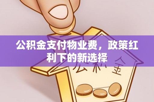 诏安公积金支付物业费，政策红利下的新选择