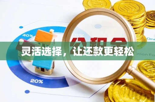 诏安灵活选择，让还款更轻松