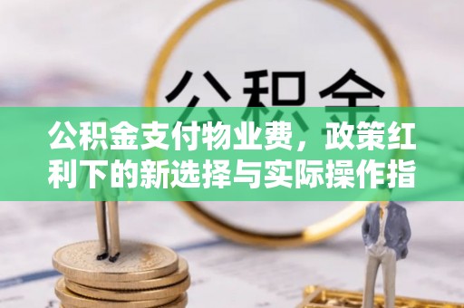 诏安公积金支付物业费，政策红利下的新选择与实际操作指南