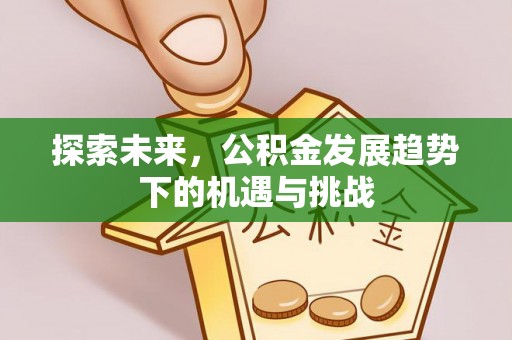 诏安探索未来，公积金发展趋势下的机遇与挑战