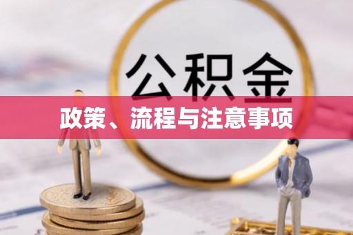 诏安政策、流程与注意事项