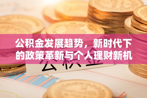 诏安公积金发展趋势，新时代下的政策革新与个人理财新机遇