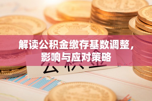 诏安解读公积金缴存基数调整，影响与应对策略