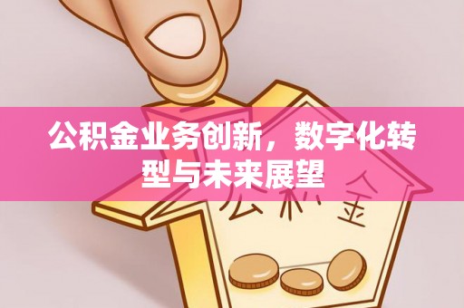 诏安公积金业务创新，数字化转型与未来展望