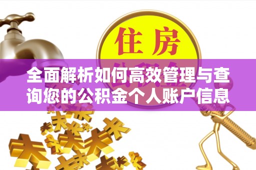 诏安全面解析如何高效管理与查询您的公积金个人账户信息