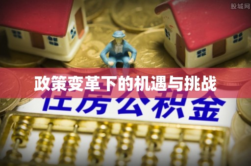 诏安政策变革下的机遇与挑战