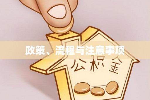 诏安政策、流程与注意事项
