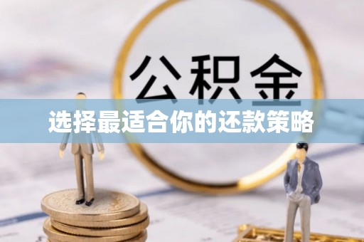 诏安选择最适合你的还款策略